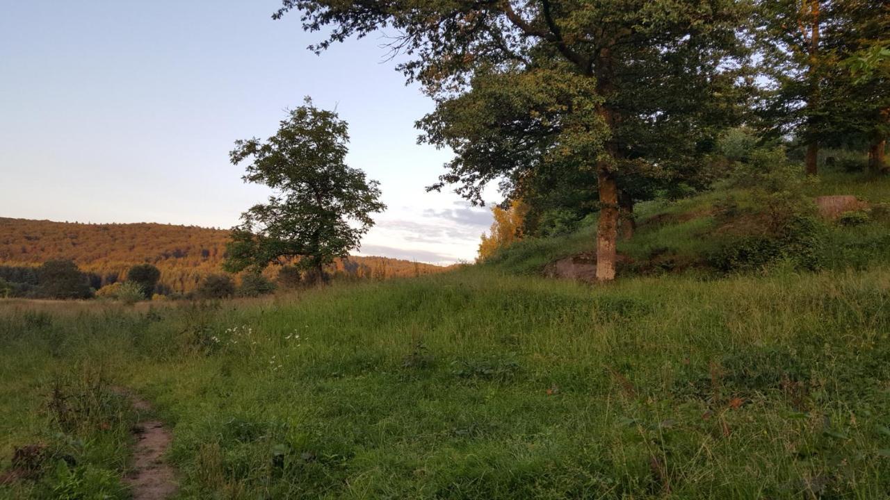 Ma Roulotte Sous Les Chenes- Au Naturel Raon-aux-Bois Exterior photo
